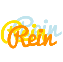 Rein energy logo