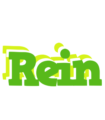 Rein picnic logo