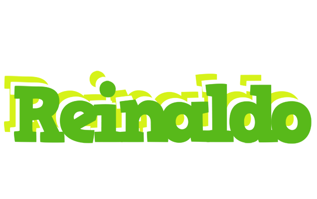 Reinaldo picnic logo