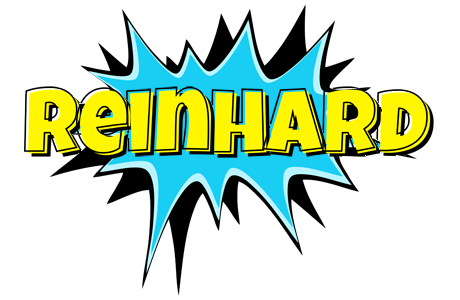 Reinhard amazing logo