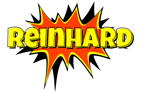 Reinhard bazinga logo