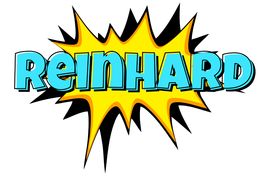 Reinhard indycar logo