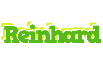 Reinhard picnic logo