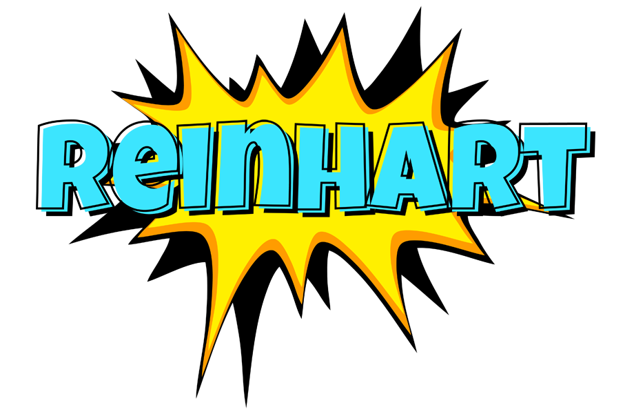 Reinhart indycar logo