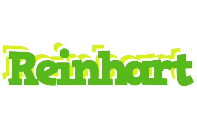 Reinhart picnic logo