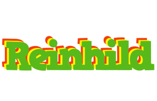 Reinhild crocodile logo