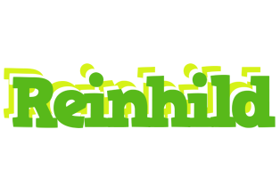 Reinhild picnic logo