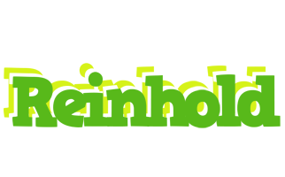 Reinhold picnic logo