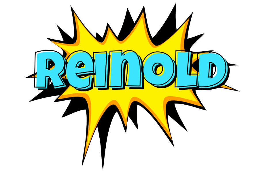Reinold indycar logo
