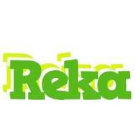 Reka picnic logo