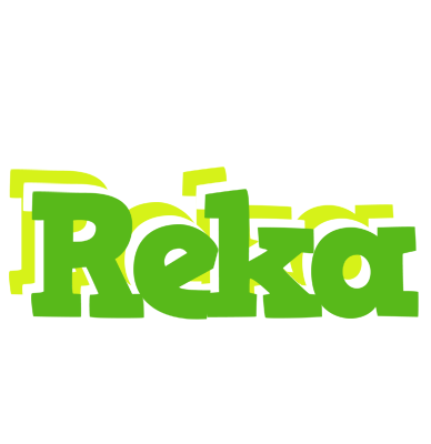 Reka picnic logo