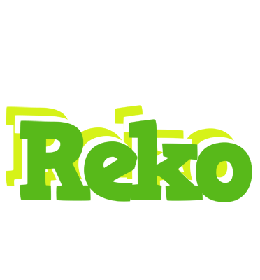 Reko picnic logo