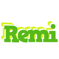 Remi picnic logo