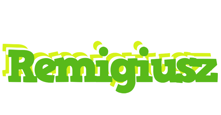 Remigiusz picnic logo