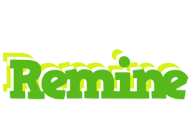 Remine picnic logo