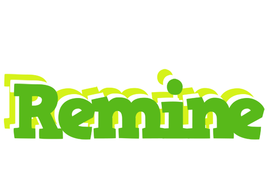 Remine picnic logo