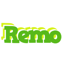 Remo picnic logo