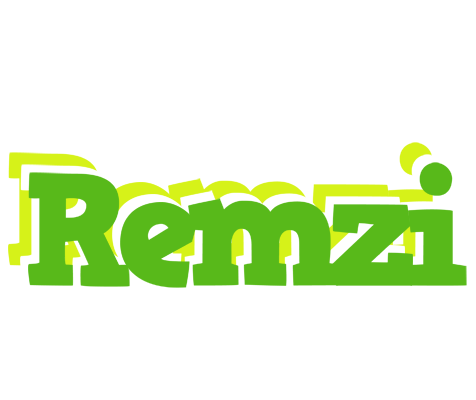 Remzi picnic logo