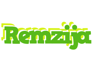 Remzija picnic logo