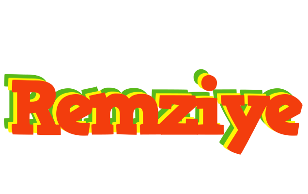 Remziye bbq logo