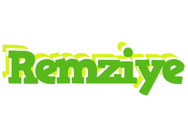 Remziye picnic logo