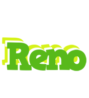 Reno picnic logo