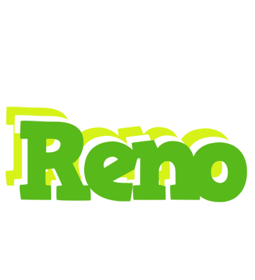 Reno picnic logo
