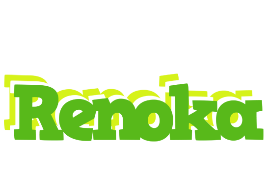 Renoka picnic logo