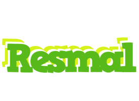 Resmal picnic logo