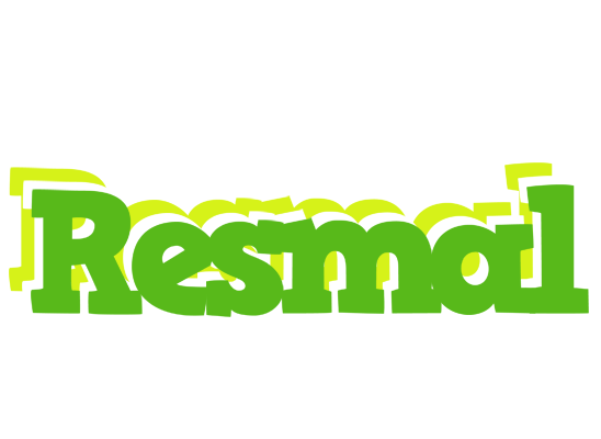 Resmal picnic logo
