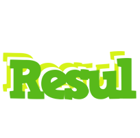 Resul picnic logo