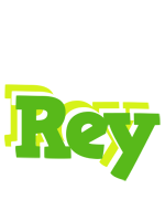 Rey picnic logo