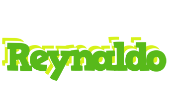 Reynaldo picnic logo