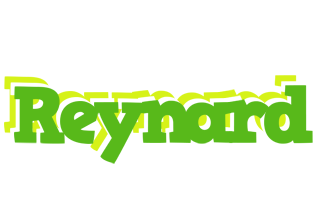 Reynard picnic logo