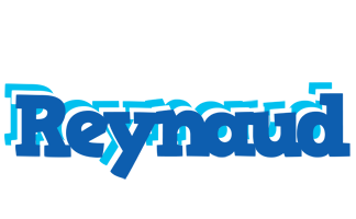 Reynaud business logo