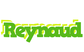 Reynaud picnic logo