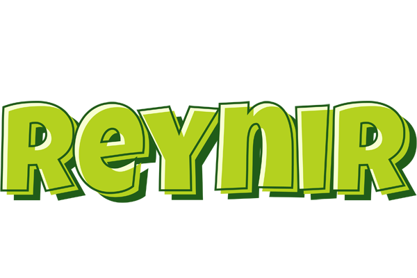 Reynir summer logo