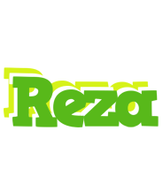 Reza picnic logo