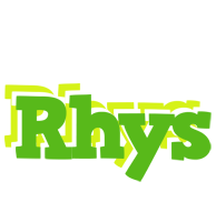 Rhys picnic logo