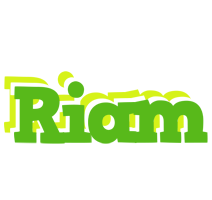 Riam picnic logo