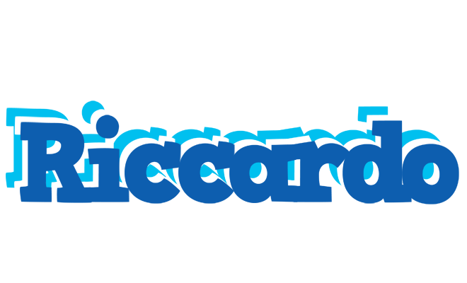 Riccardo business logo