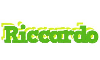 Riccardo picnic logo