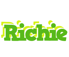 Richie picnic logo