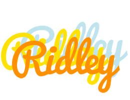 Ridley energy logo