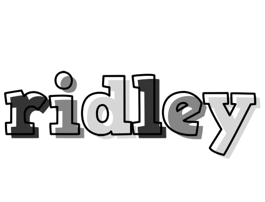 Ridley night logo