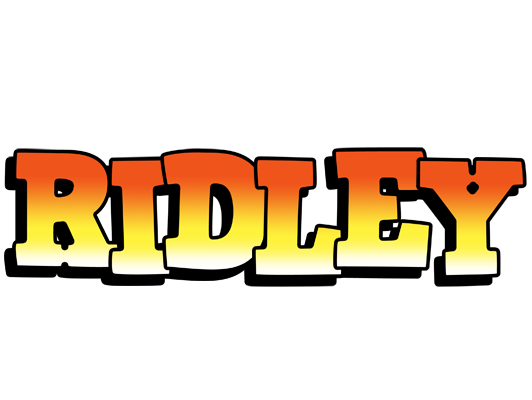 Ridley sunset logo