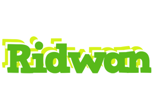 Ridwan picnic logo