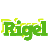 Rigel picnic logo