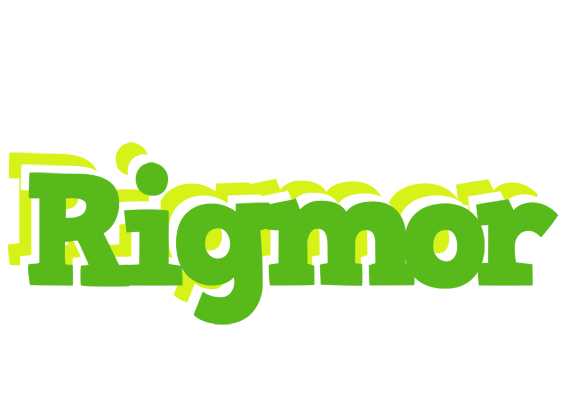 Rigmor picnic logo