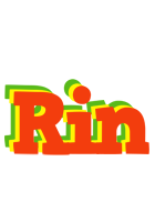 Rin bbq logo